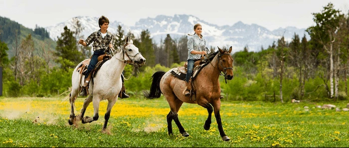Confident plus-size woman riding Northampton a horse through a field with a smile on her face.